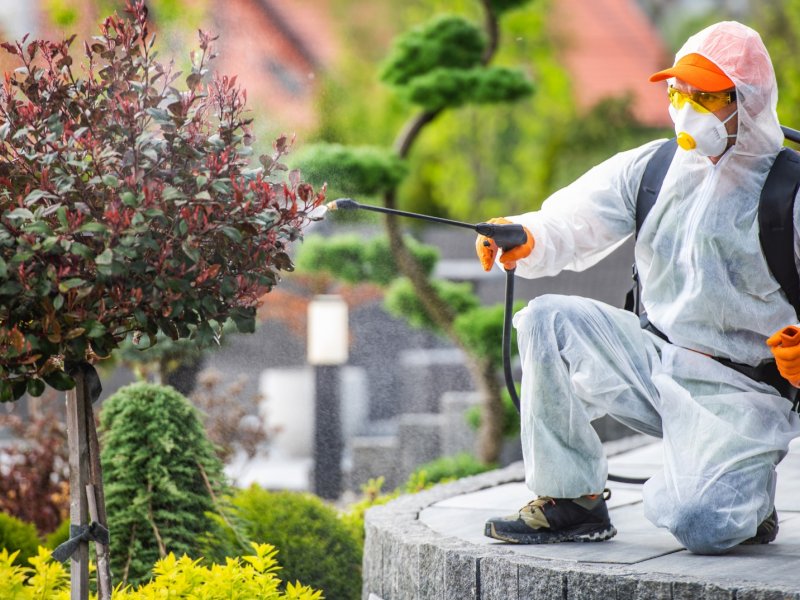 Tepebaşı Haşere İlaçlama